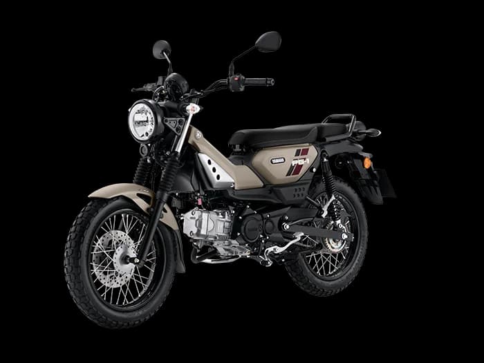 Yamaha PG-1